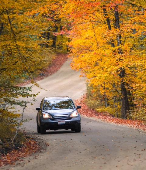 Find Affordable Vehicle Self Storage