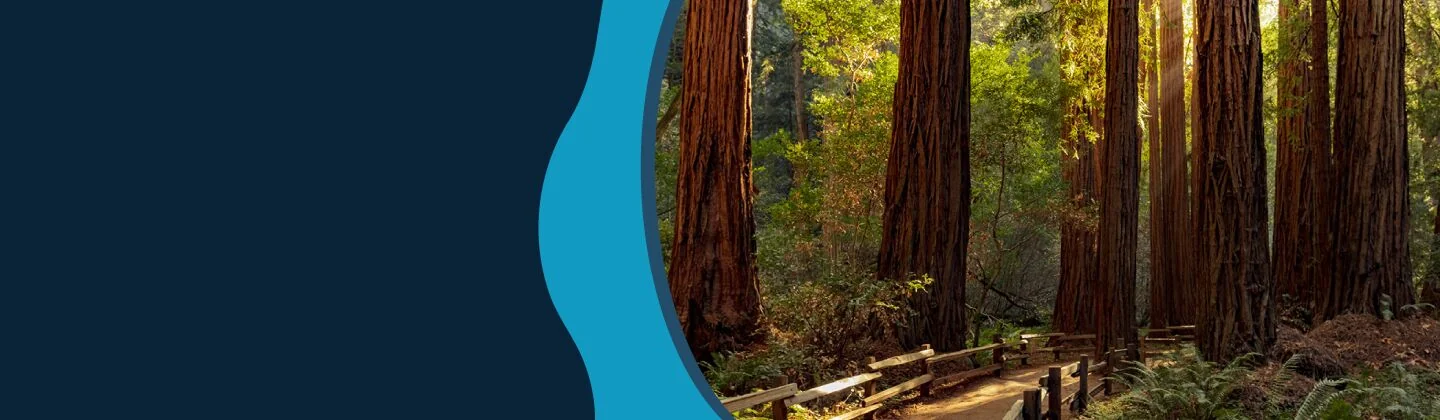 California - Golden State