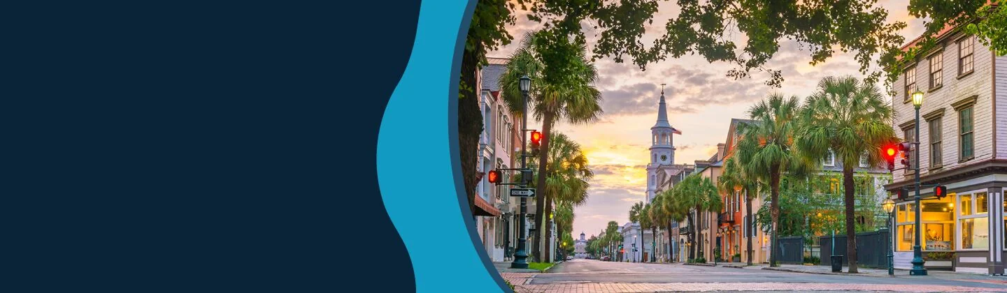 South Carolina - Palmetto State