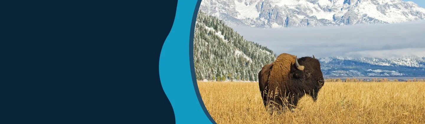 Wyoming - Cowboy State