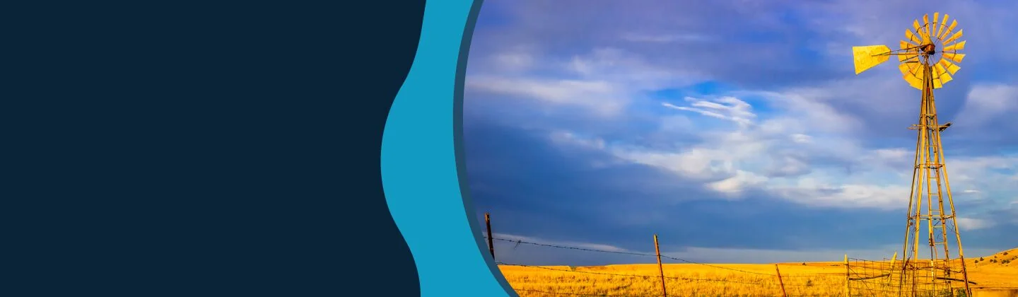 Kansas - Sunflower State